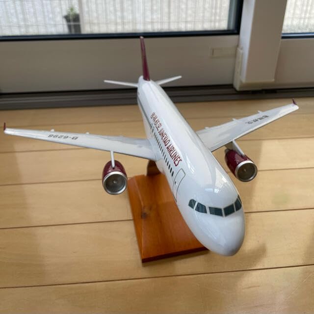 Amazon.co.jp: 航空機 吉祥航空 飛行機模型 大型模型 飛行機